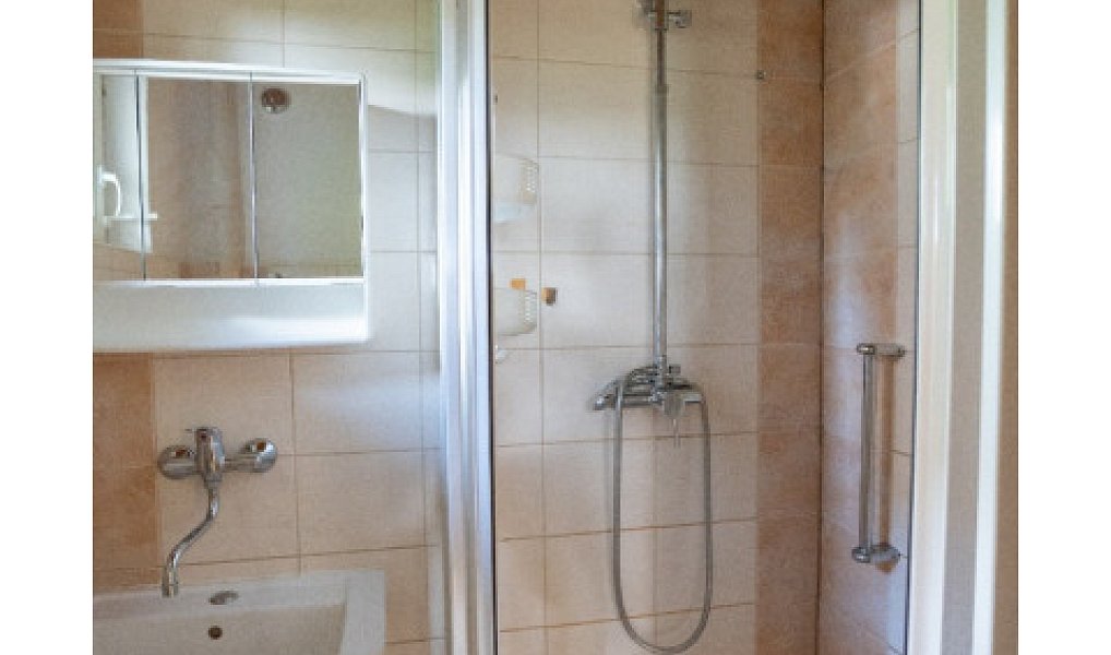 Prodej chaty/chalupy 57 m² s pozemkem 385 m², Plzeň – náhled fotky 6