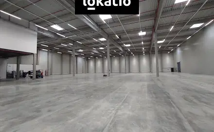 Pronájem skladovacích prostor 3 858 m², Kozomín, okres Mělník
