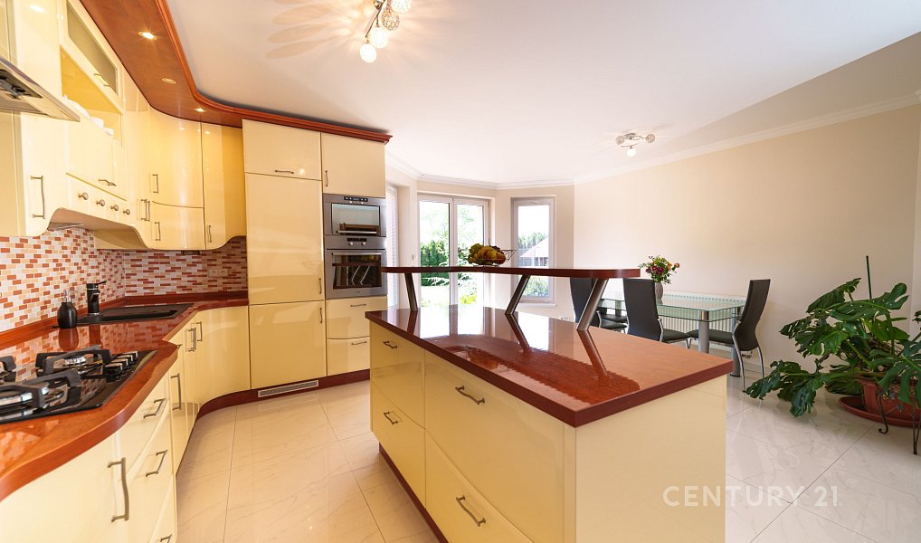 Prodej domu 545 m² s pozemkem 2 148 m², Chlumčany – náhled fotky 17