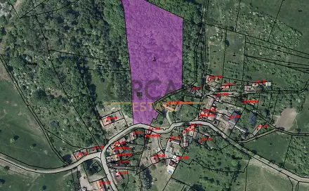 Prodej lesa 15 940 m², Třebívlice, okres Litoměřice