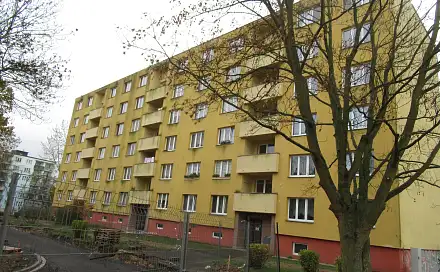 Dražba bytu 2+1 57 m², Matěje Kopeckého, Cheb
