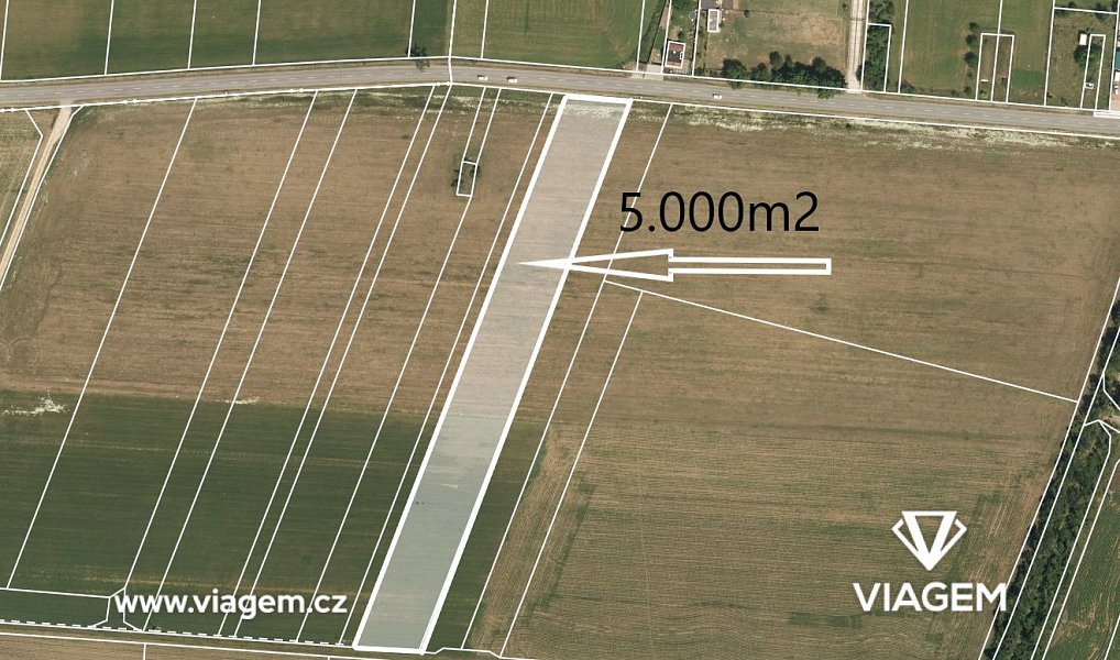 Prodej pole 5 000 m², Znojmo – náhled fotky 3