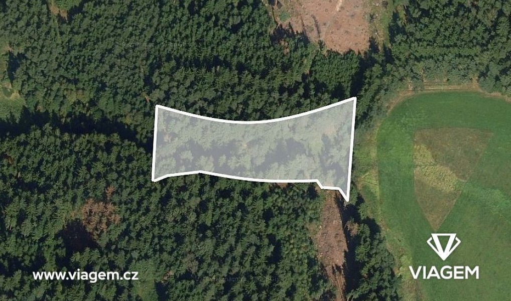 Prodej lesa 2 072 m², Studnice – náhled fotky 2