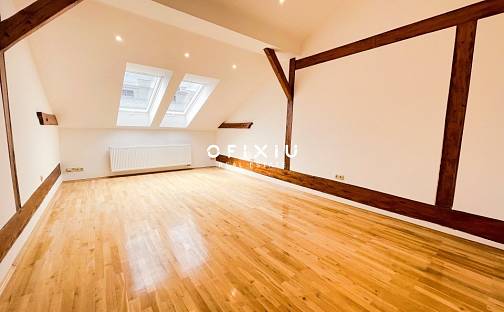 Pronájem bytu 3+kk 121 m², Jaselská, Brno - Veveří