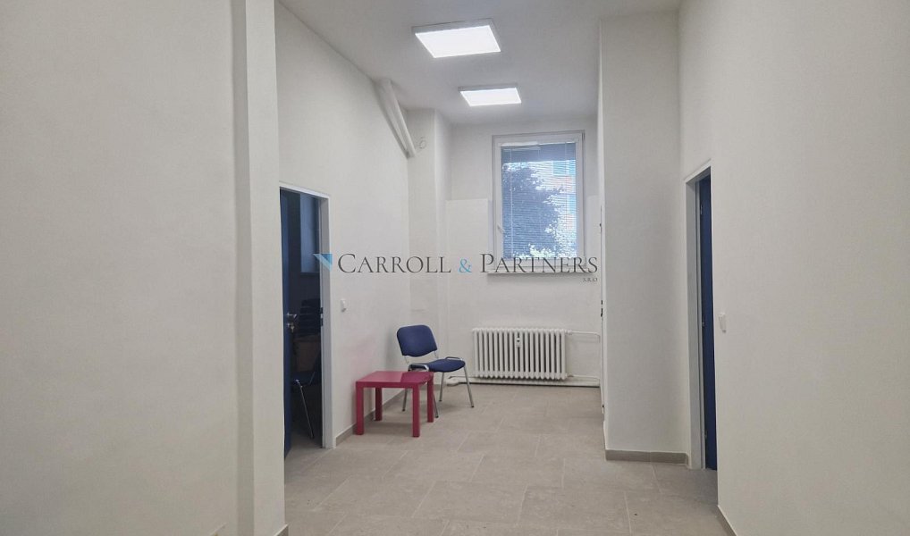 Pronájem komerčního objektu (jiného typu) 75 m², Opava – náhled fotky 3