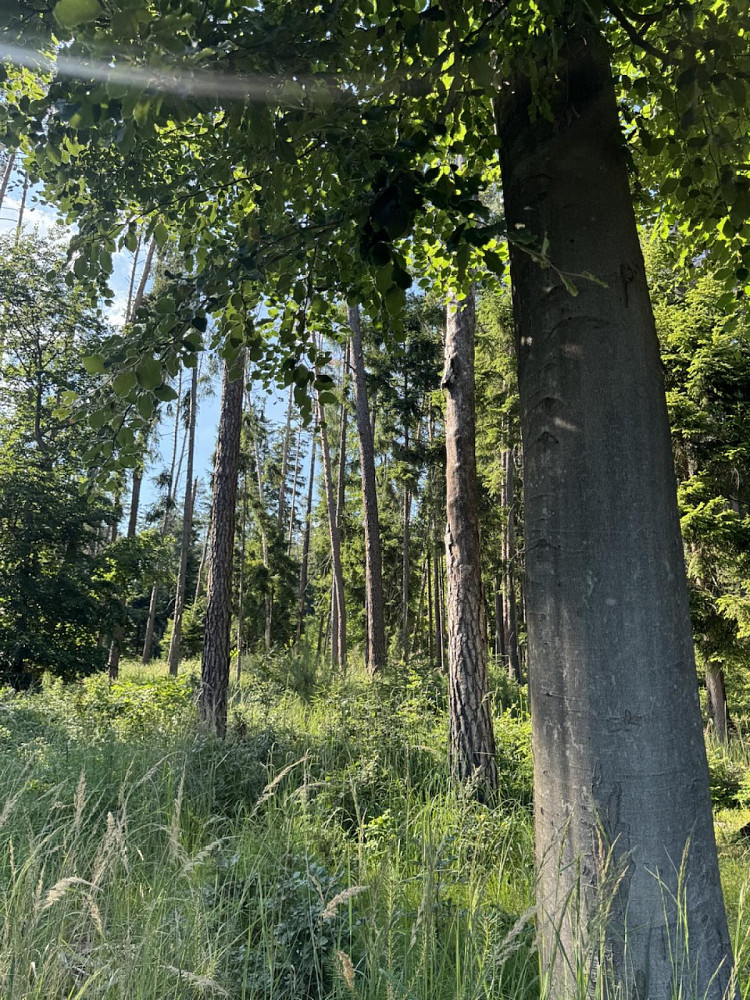Fotka 10 z 27