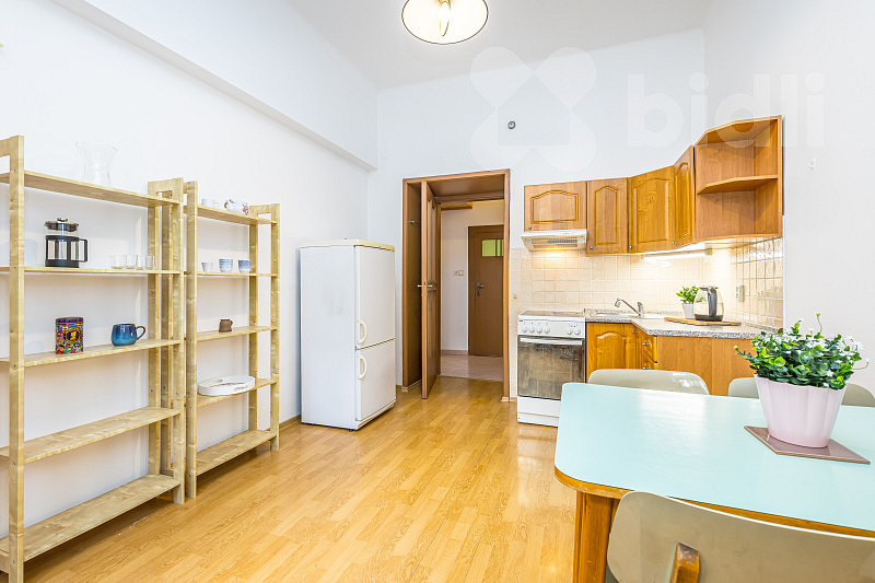 Prodej bytu 1+1 42 m² – fotografie 3