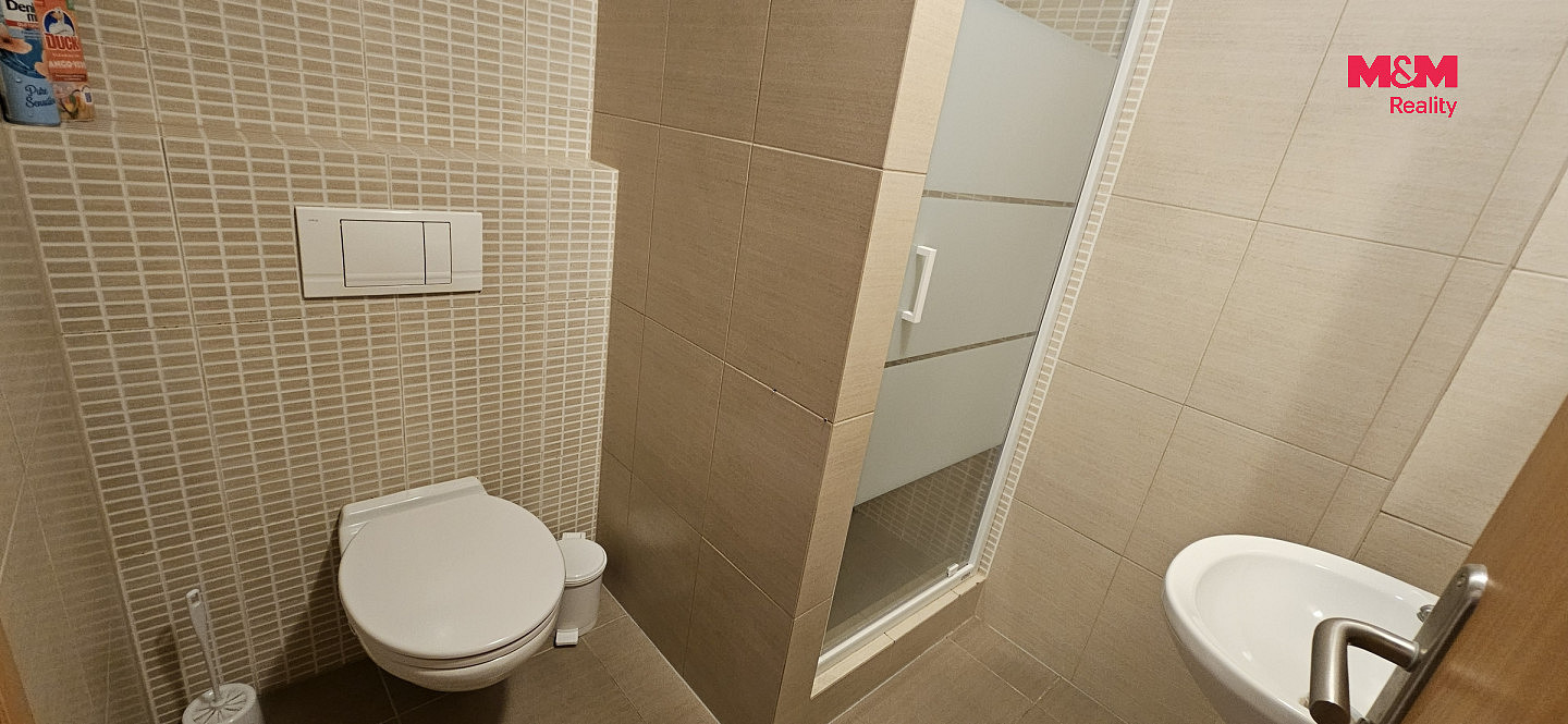 Pronájem bytu 1+kk 36 m² — photo 4