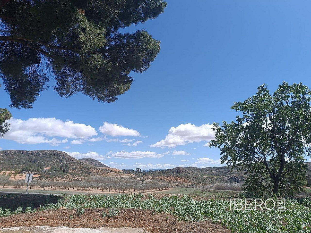 Casa 5+kk – Yecla, Altiplano - Vista 3