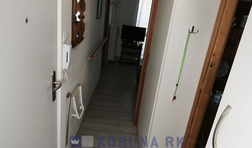 Prodej bytu 3+kk 52 m², České Budějovice – náhled fotky 18