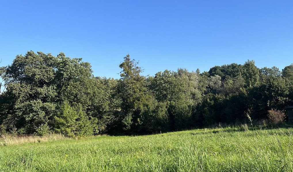 Prodej komerčního pozemku 1 818 m², Třinec – náhled fotky 5