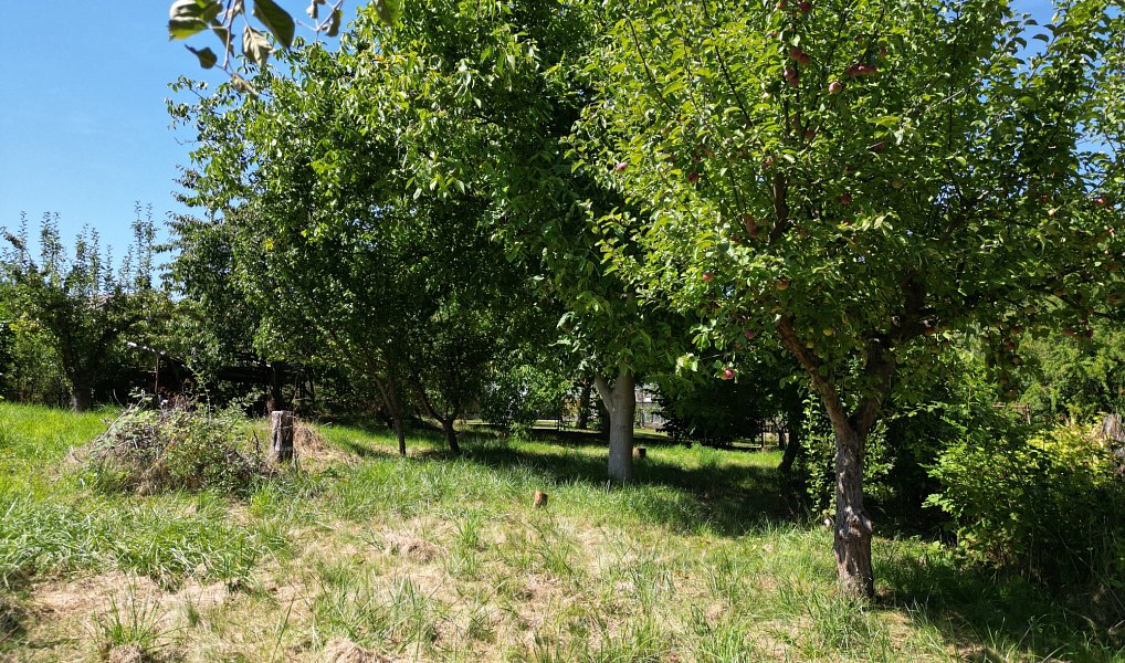 Prodej stavebního pozemku 809 m², Starý Plzenec – náhled fotky 5