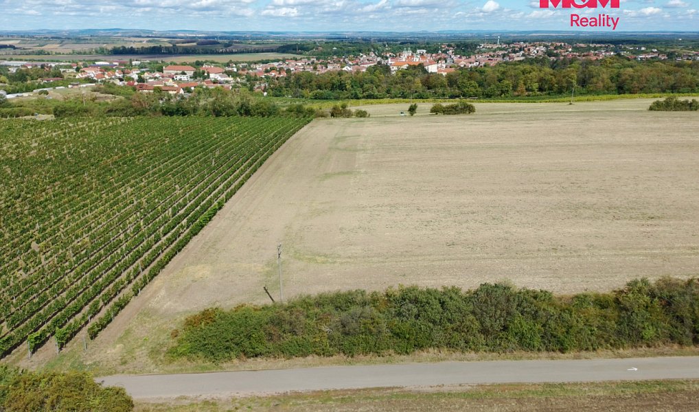 Prodej pole 9 598 m², Valtice – náhled fotky 6