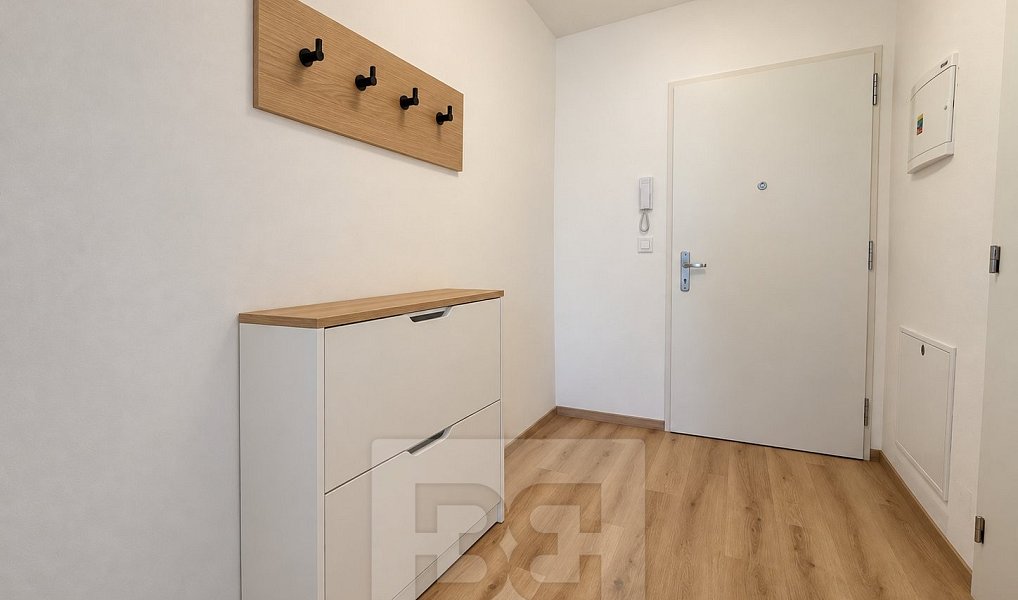 Pronájem bytu 1+kk 35 m², Brno – náhled fotky 9