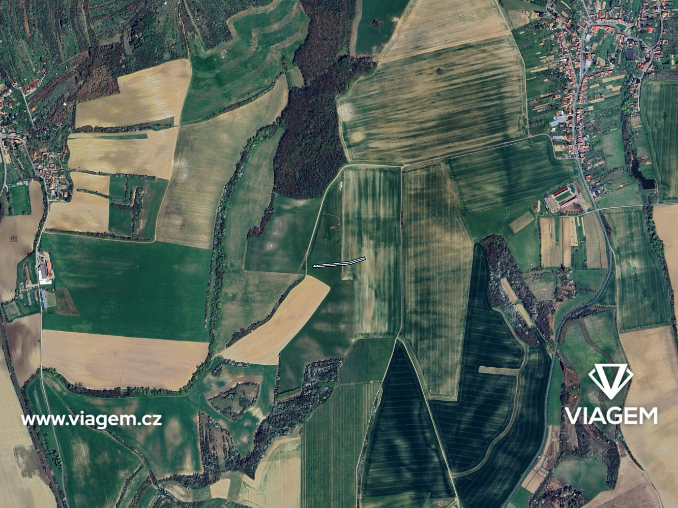 Prodej pole 1 255 m² – fotografie 3
