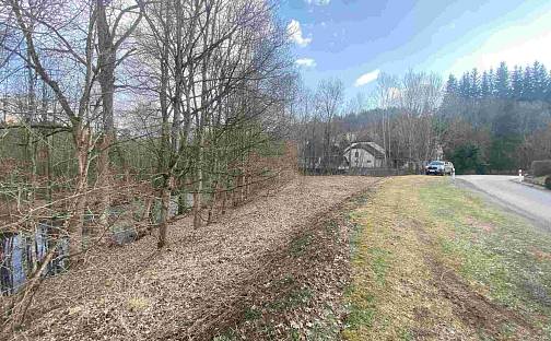 Prodej pozemku 1 201 m², Bartošovice v Orlických horách, okres Rychnov nad Kněžnou