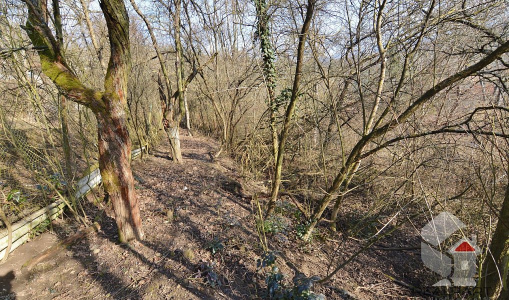 Prodej zahrady 207 m², Brno – náhled fotky 3