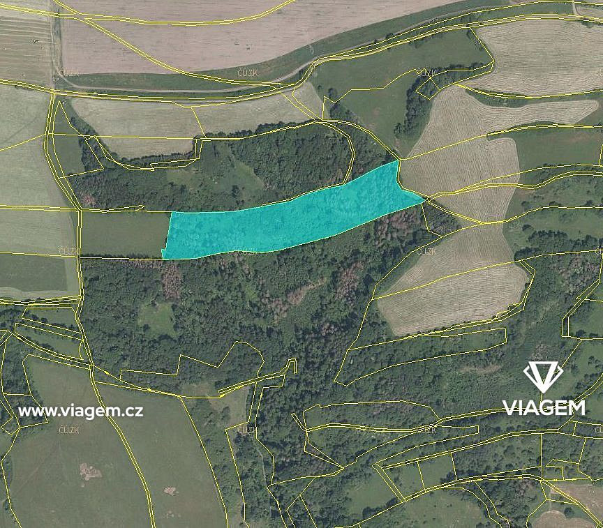 Prodej lesa 2 383 m² – pohled 2