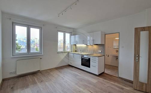 Pronájem bytu 1+1 48 m², Fráni Šrámka, České Budějovice - České Budějovice 3