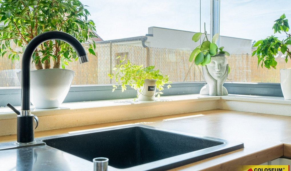 Prodej domu 460 m² s pozemkem 3 000 m², Zbraslav – náhled fotky 17