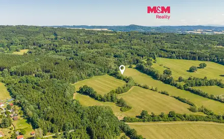 Prodej louky 6 763 m², Louňová, okres Plzeň-Jih