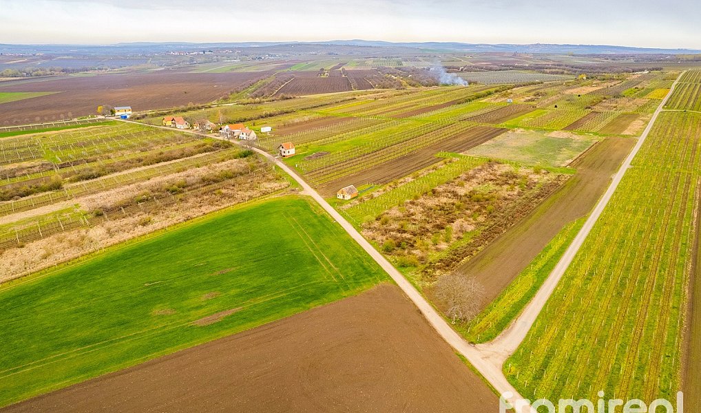 Prodej stavebního pozemku 3 646 m², Moravský Žižkov – náhled fotky 2