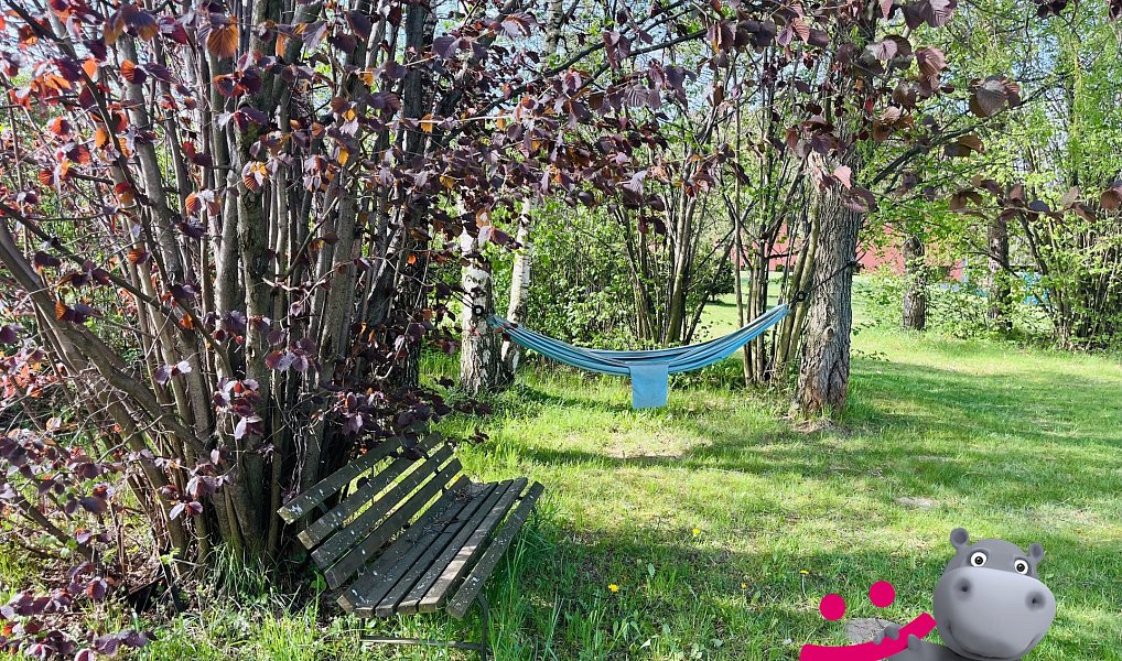 Prodej domu 446 m² s pozemkem 4 955 m², Černá Voda – náhled fotky 27
