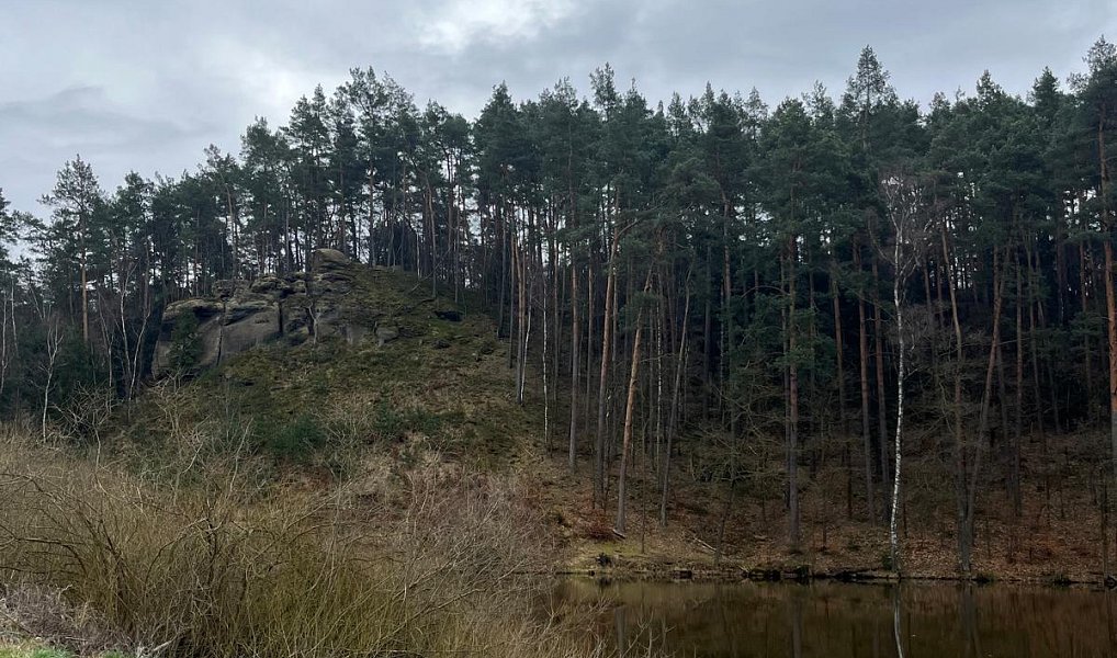 Prodej chaty/chalupy 150 m², Janovice v Podještědí – náhled fotky 5