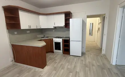Pronájem bytu 2+1 49 m²