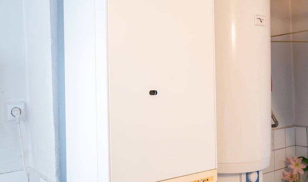 Prodej domu 120 m² s pozemkem 870 m², Brloh – náhled fotky 18