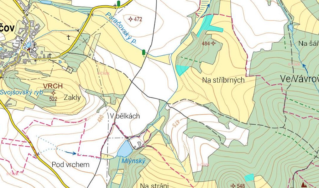 Prodej lesa 11 147 m², Cehnice – náhled fotky 2