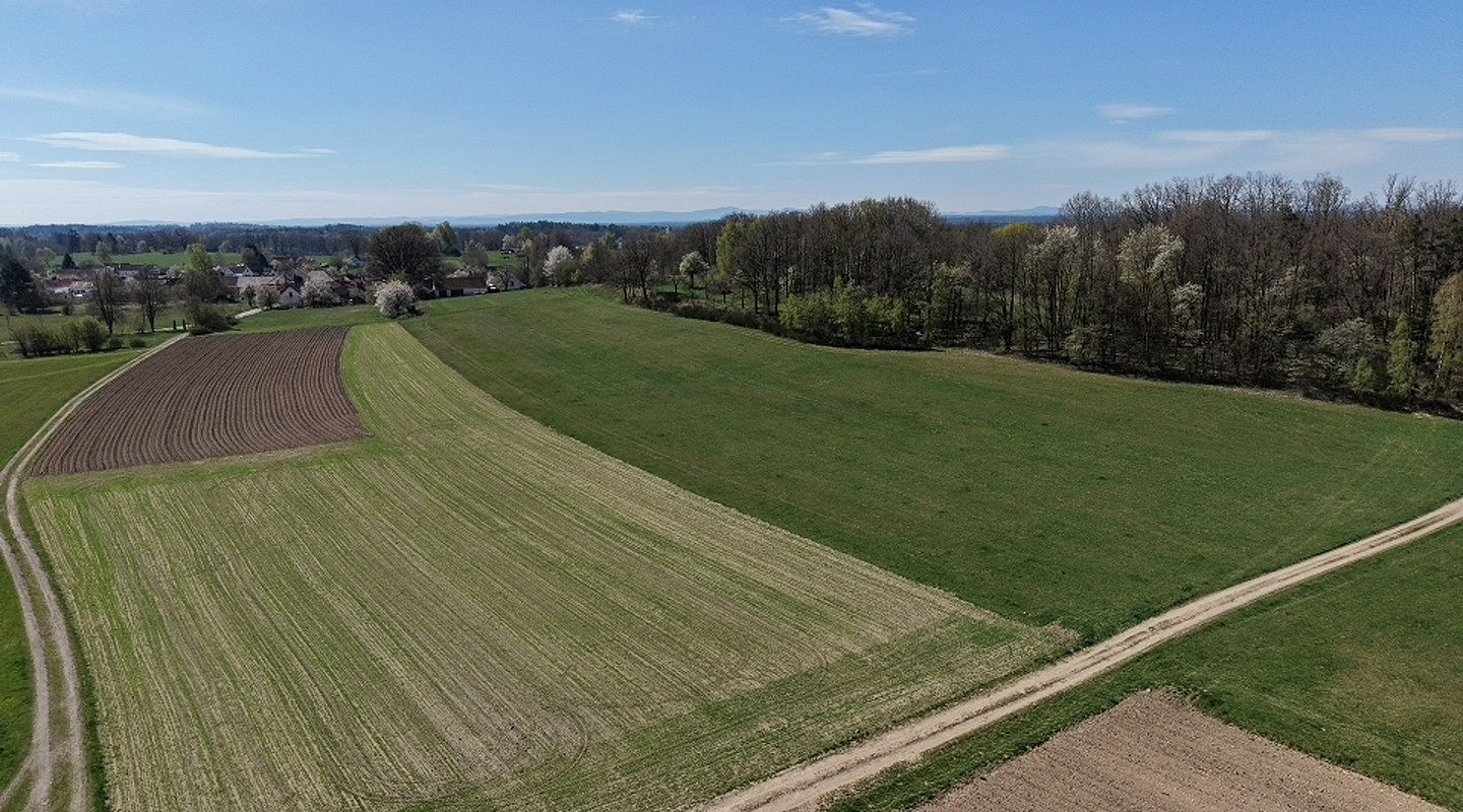 Prodej lesa 360 000 m²