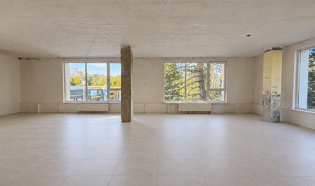 Pronájem komerčního objektu (jiného typu) 172 m², Ostrava – náhled fotky 2