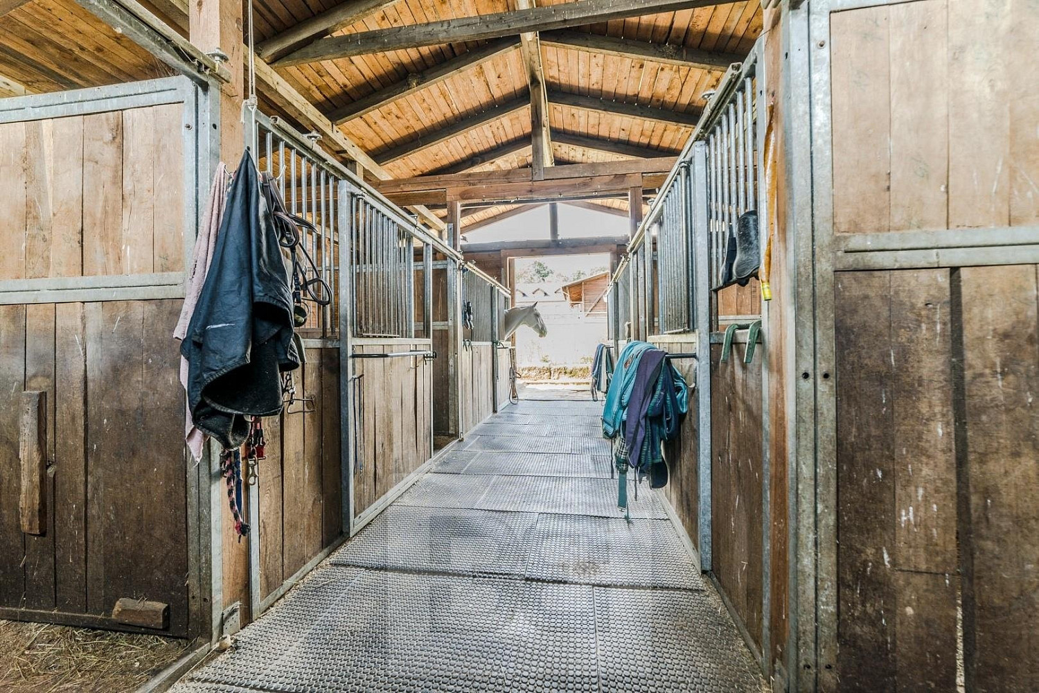 Prodej domu 400 m² s pozemkem 242 000 m² – fotografie 5