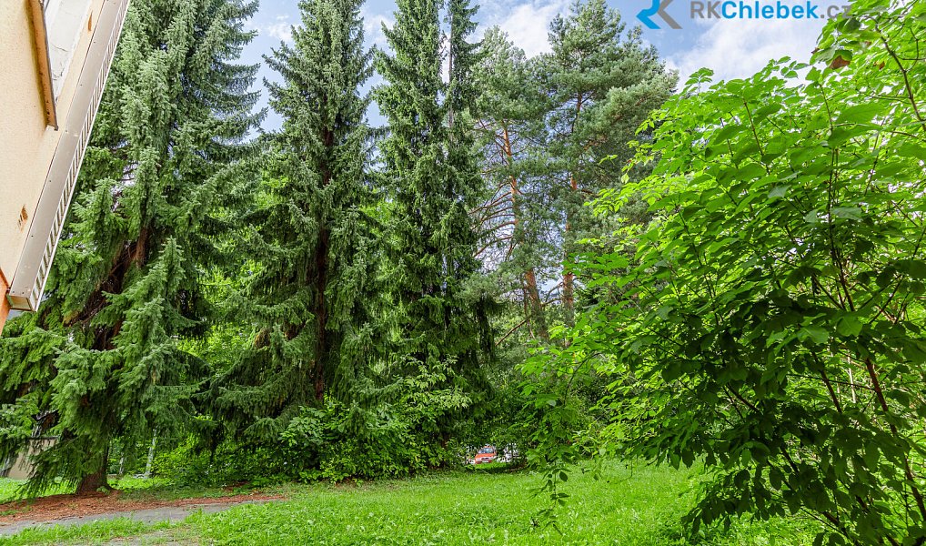 Prodej bytu 3+kk 78 m², Frýdek-Místek – náhled fotky 21