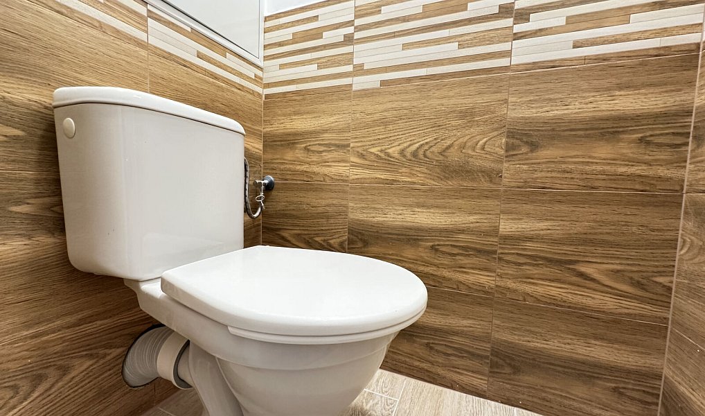 Pronájem bytu 2+1 59 m², Brno – náhled fotky 18