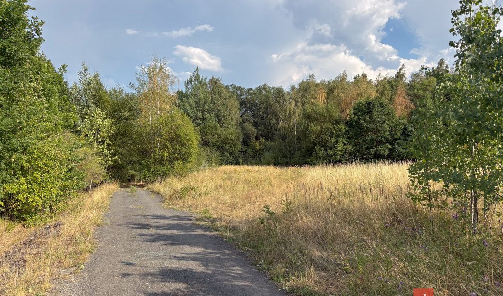 Prodej komerčního pozemku 4 386 m², Plzeň – náhled fotky 6
