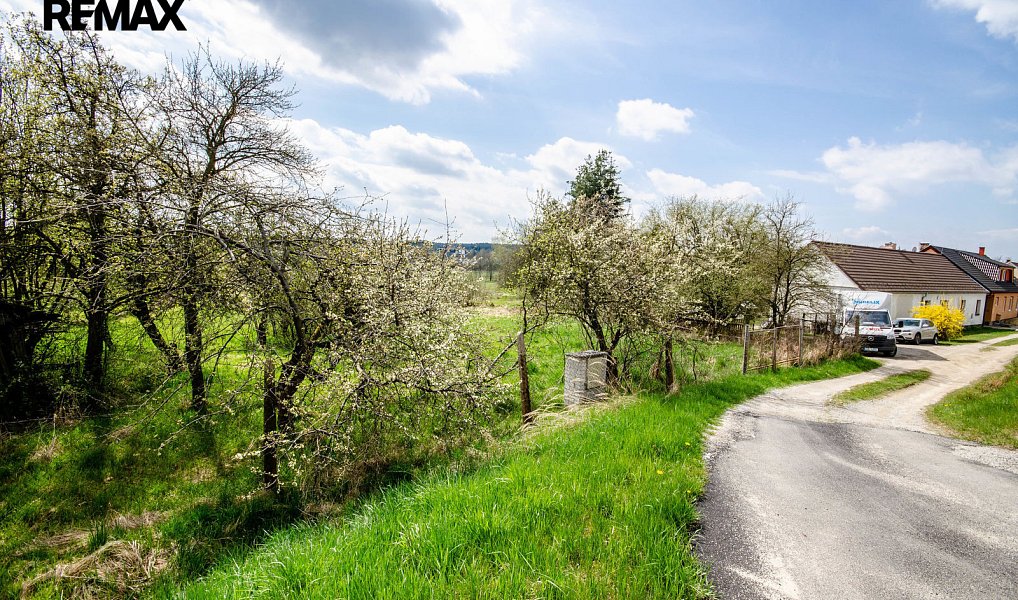 Prodej stavebního pozemku 9 720 m², Ševětín – náhled fotky 6