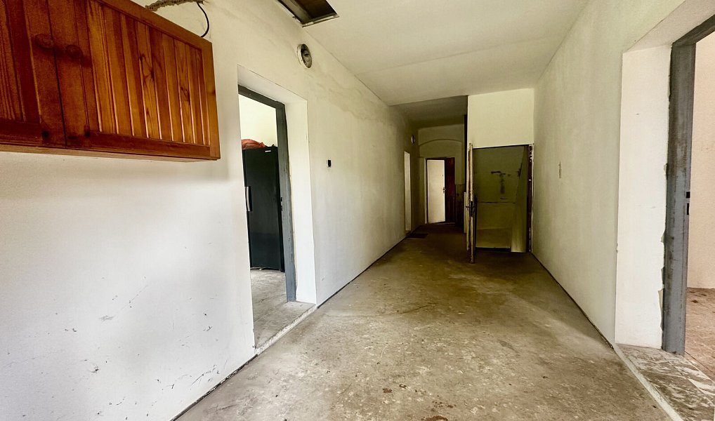 Prodej domu 250 m² s pozemkem 1 993 m², Sadov – náhled fotky 14