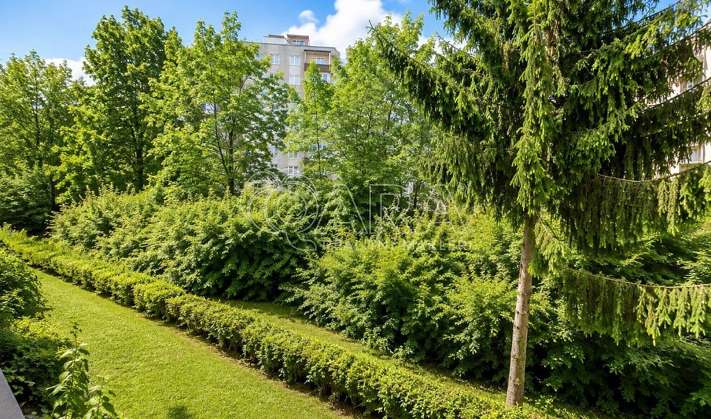 Prodej bytu 3+kk 56 m², Praha – náhled fotky 10