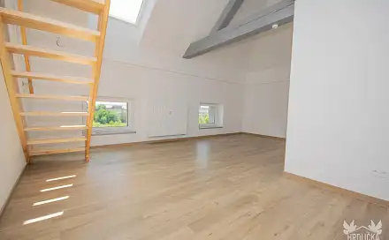 Prodej bytu 1+kk 53 m², Písek - Pražské Předměstí