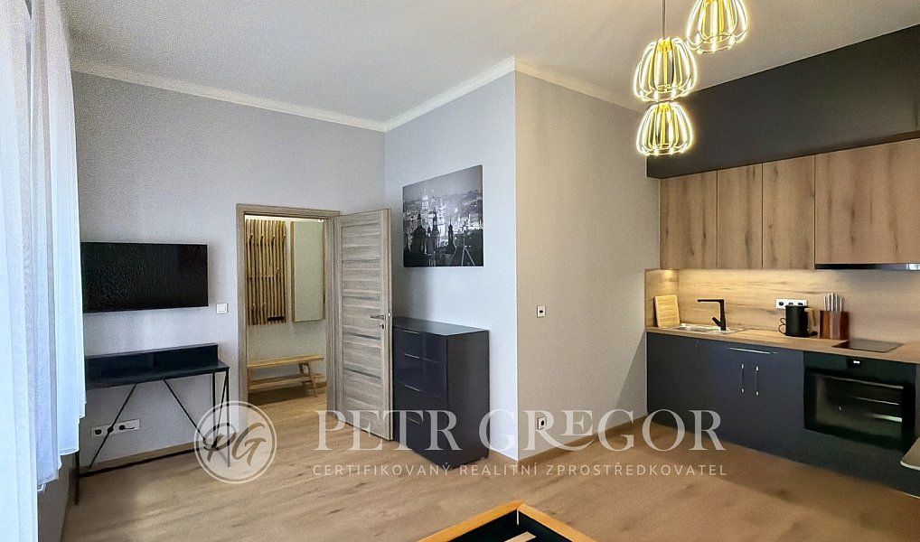 Pronájem bytu 1+kk 35 m², Poděbrady – náhled fotky 9