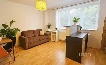 Pronájem bytu 1+kk 28 m²
