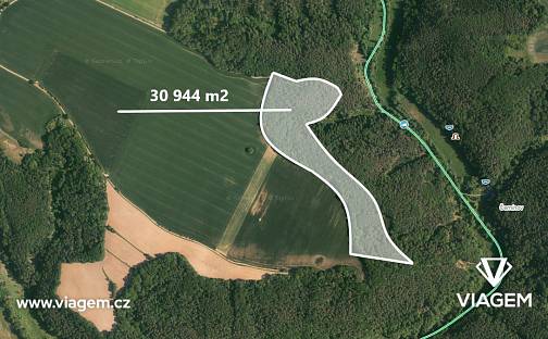 Prodej lesa 7 736 m², Kokořín, okres Mělník