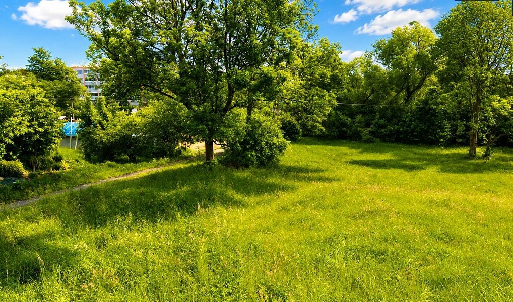 Prodej stavebního pozemku 7 007 m², Razová – náhled fotky 8