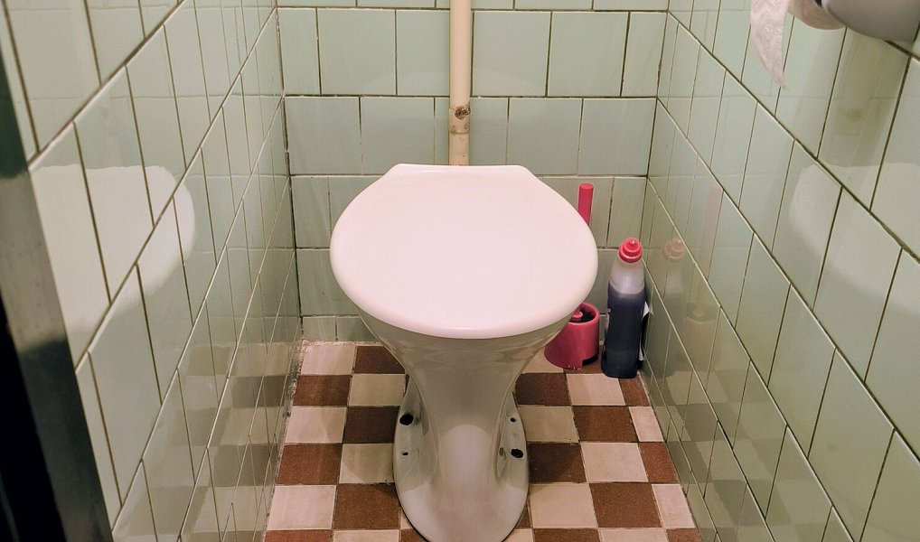 Prodej domu 114 m² s pozemkem 2 595 m², Čáslavice – náhled fotky 24