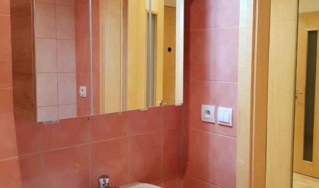 Pronájem bytu 2+1 55 m², Hradec Králové – náhled fotky 9