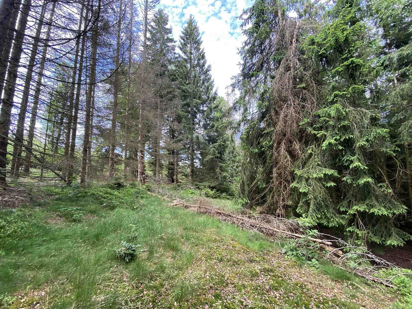 Prodej pozemku 3 072 m²