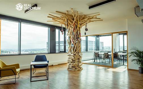 Pronájem kanceláře 706 m², Šumavská, Brno - Veveří