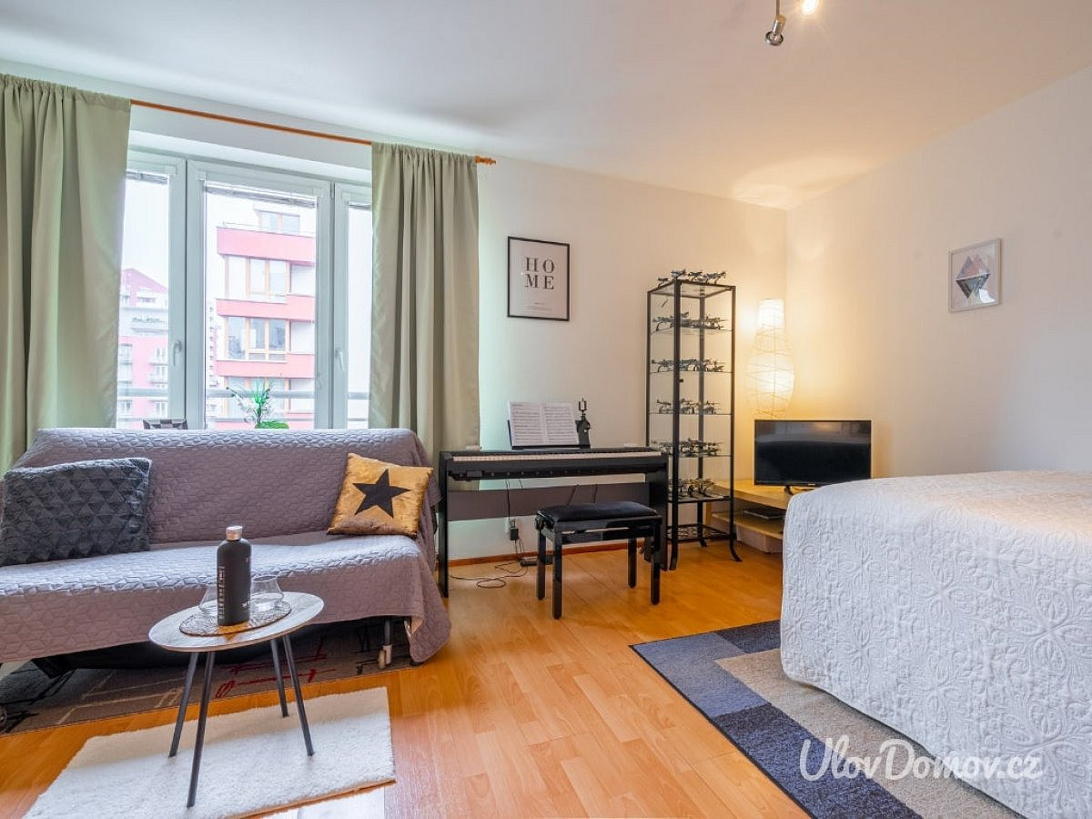 Pronájem bytu 1+kk 33 m² – fotografie 2
